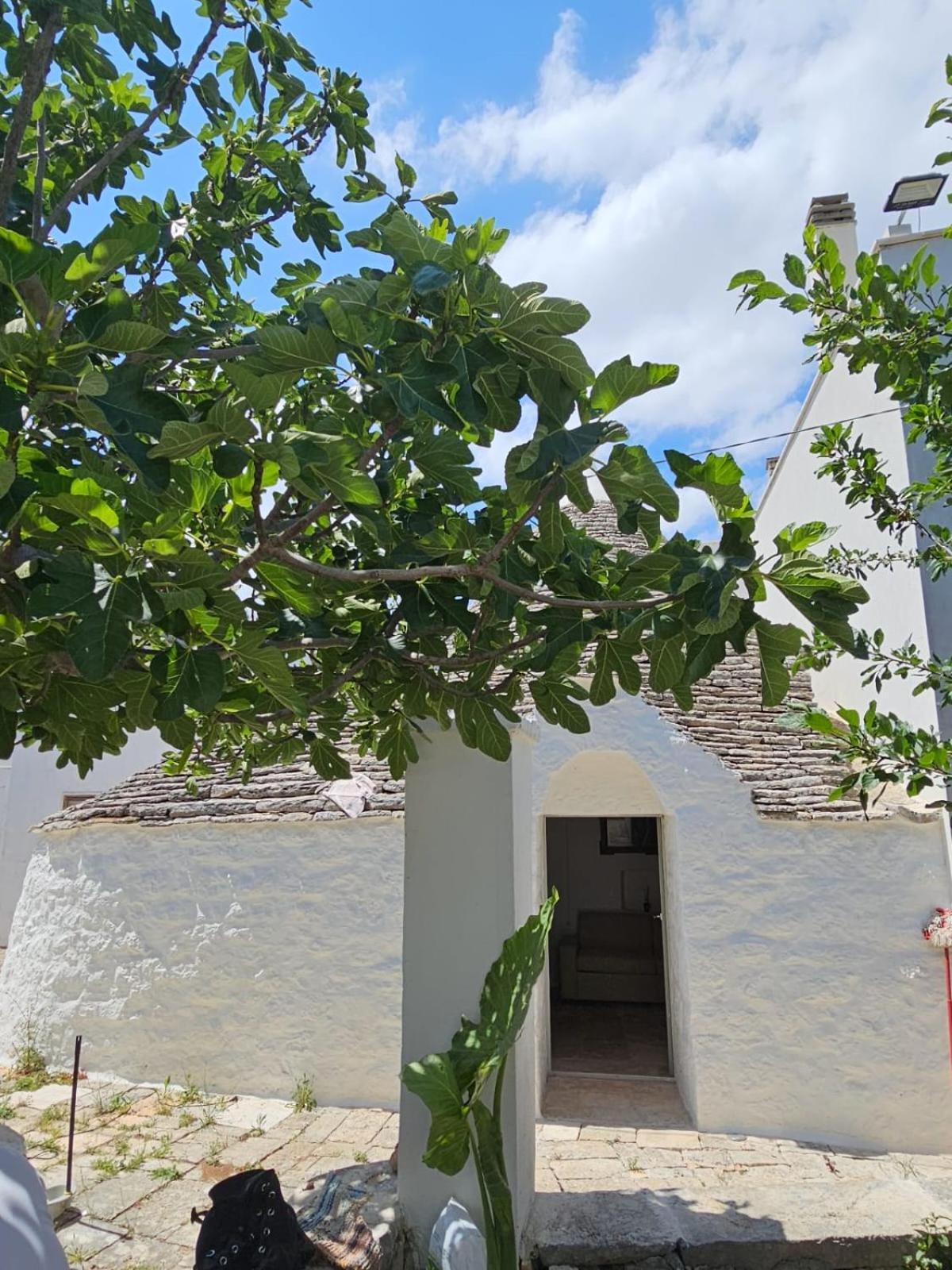 River Trulli Oasi Di Pace In Sito Unesco Alberobello Ngoại thất bức ảnh