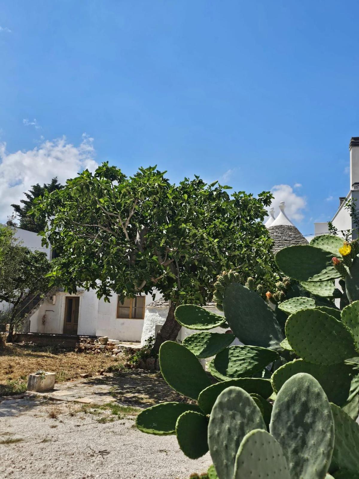 River Trulli Oasi Di Pace In Sito Unesco Alberobello Ngoại thất bức ảnh