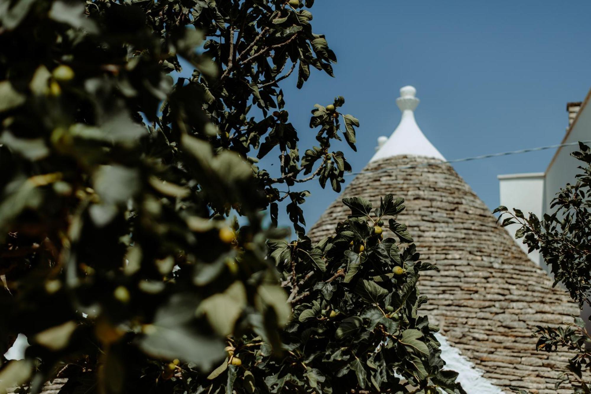 River Trulli Oasi Di Pace In Sito Unesco Alberobello Ngoại thất bức ảnh